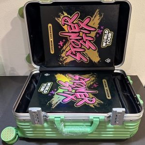 STONER STIX WORLD TOUR 2G DISPOSABLE | BULK DEALS